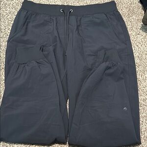 Crz yoga graphite jogger pants!